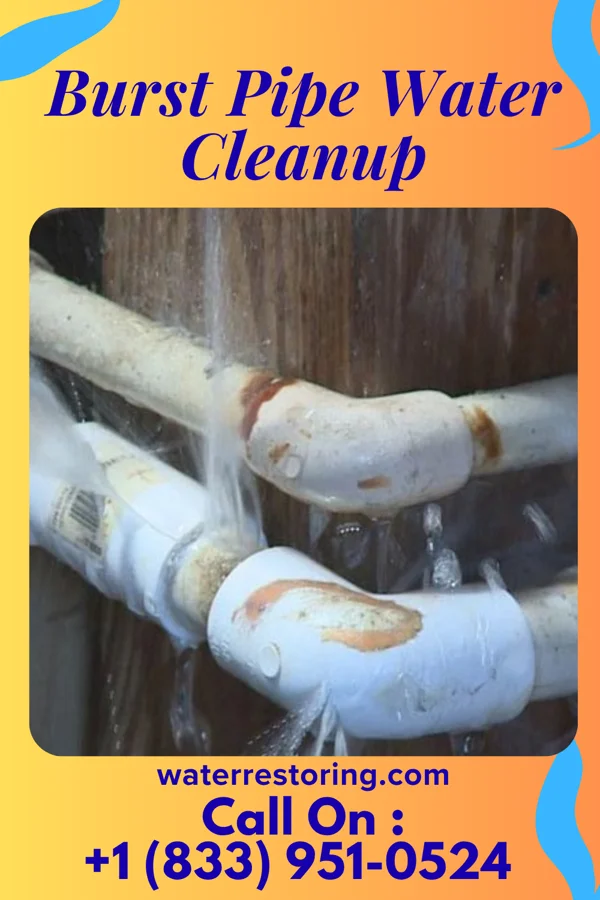 Burst Pipe Water Cleanup in Laramie, WY