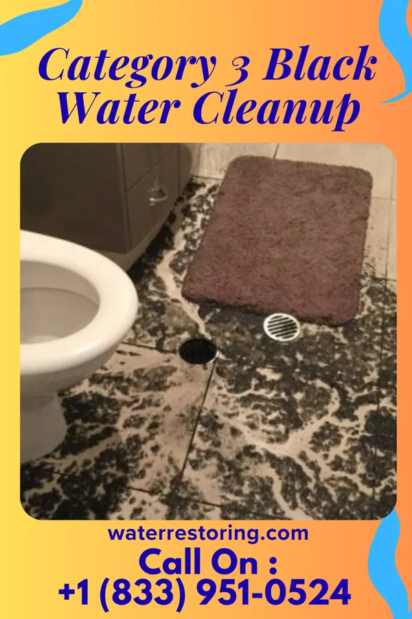 Category 3 Black Water Cleanup in Laramie, WY
