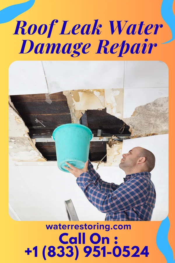 Roof Leak Water Damage Repair in Laramie, WY