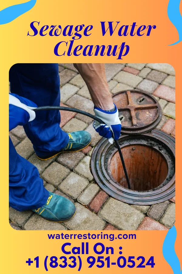 Sewage Water Cleanup in Laramie, WY